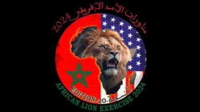 الأسد الإفريقي