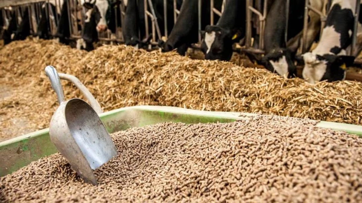 أعلاف مركبة