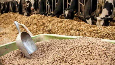 أعلاف مركبة