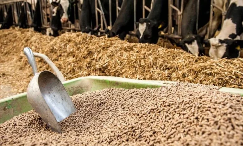 أعلاف مركبة