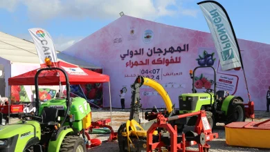 المهرجان الدولي للفواكه الحمراء