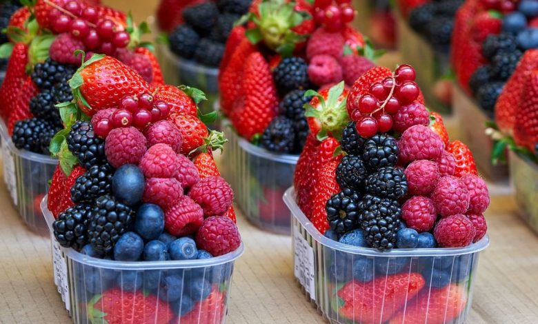 التوت المغربي