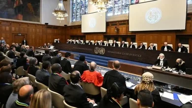 محكمة لاهاي