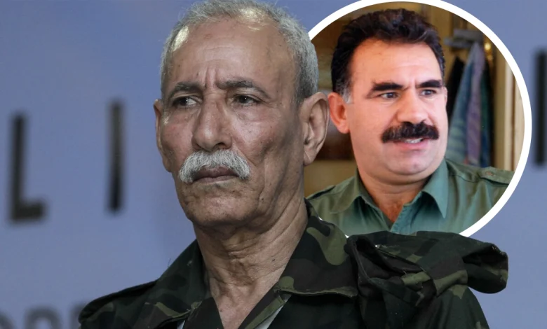 هل يحذو زعيم البوليساريو إبراهيم غالي حذو أوجلان ويدعو لإلقاء السلاح؟